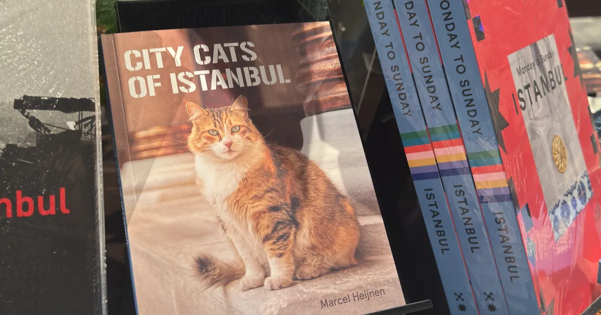 Buchhandlung Cihangir, Istanbul